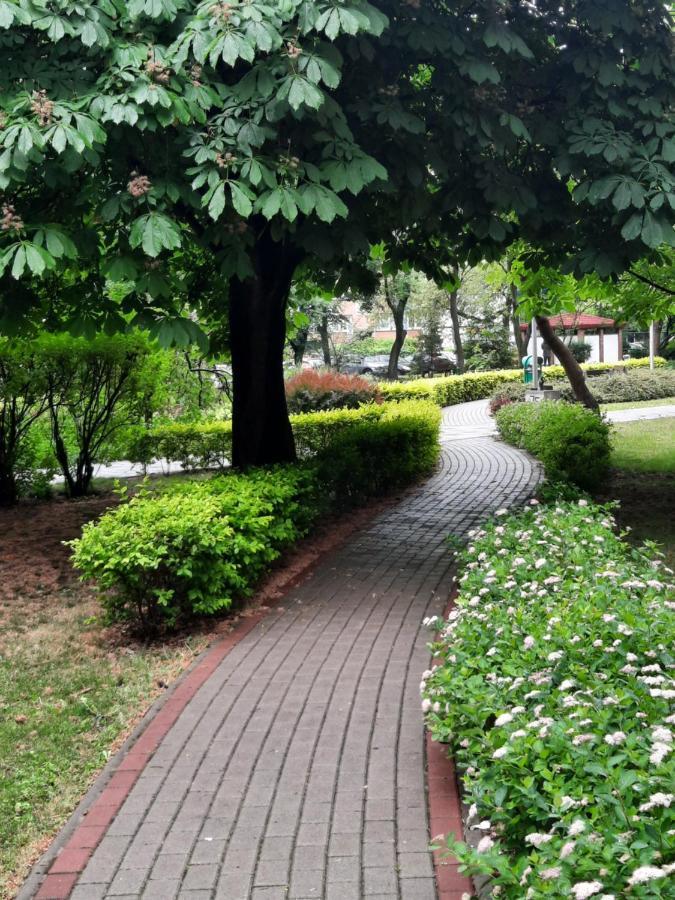Apartament W Centrum Wroclawia Apartment ห้อง รูปภาพ